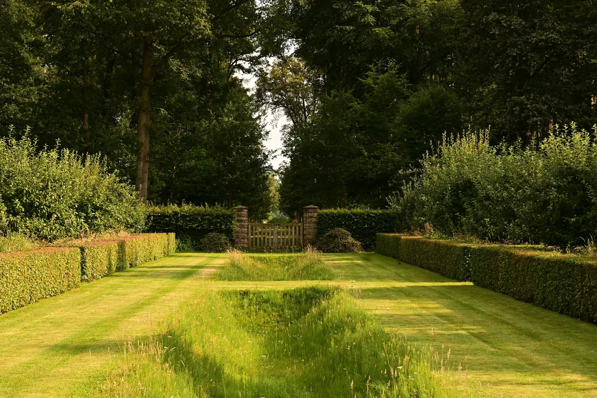 Low clipped hedges border a lawn leading to a wooden gate beneath mature trees.